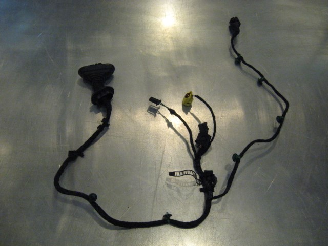 06 Audi S4 AUDI Front RH Door Wire Harness  R14371