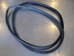 07 Nissan 350Z RH Passenger Door Seal  R14589