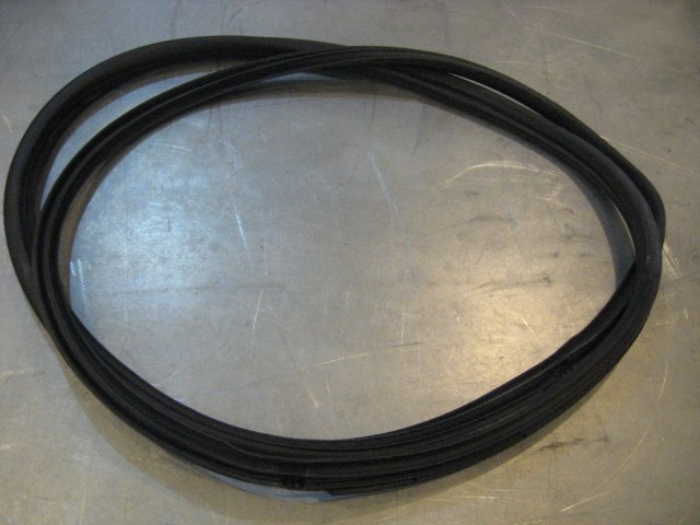 07 Nissan 350Z RH Passenger Door Seal  R18206