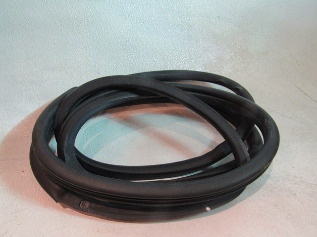 07 Nissan 350Z LH Driver  Door Seal  R18241