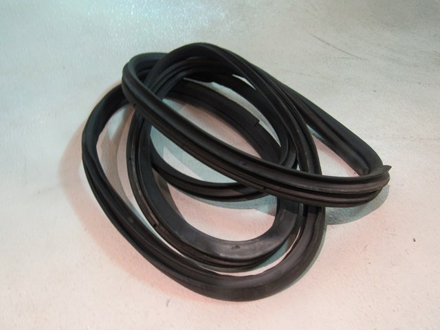 07 Nissan 350Z LH Driver  Door Seal  R18241