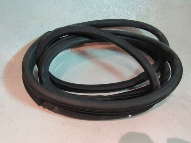 07 Nissan 350Z LH Driver  Door Seal  R18241