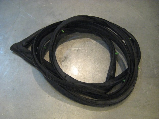 05 Infiniti G35 Sedan Front RH Door Seal  R18566