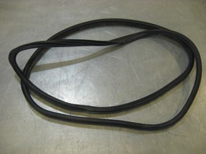 04 Acura RSX RH Door Seal On Frame  R19073