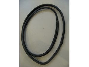 06 Nissan 350Z RH Passenger Door Seal  R6968