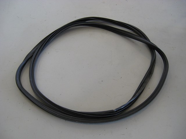 06 Nissan 350Z Rear Hatch Body Seal  R7118