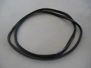 06 Nissan 350Z Rear Hatch Body Seal  R7118