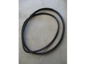 06 Nissan 350Z RH Passenger Door Seal  R7976