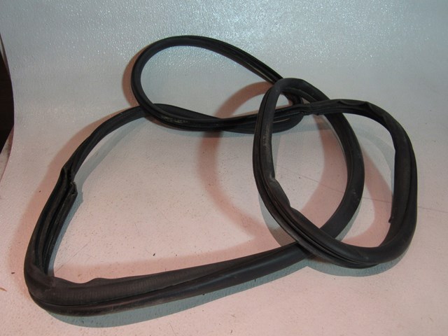 2003-2008 Nissan 350Z RH Passenger Door Seal  R15435