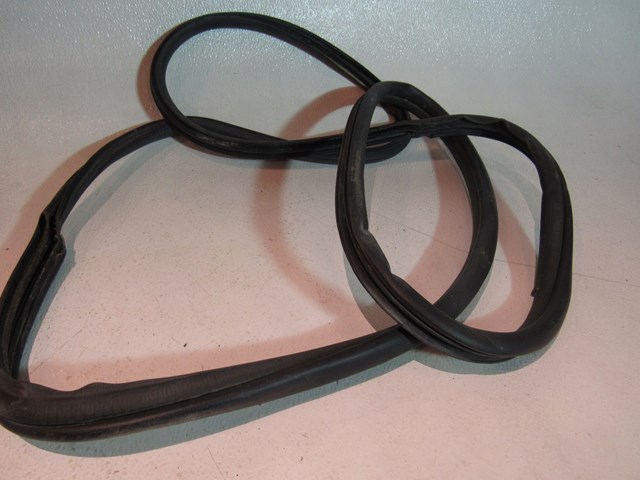 2003-2008 Nissan 350Z RH Passenger Door Seal  R15435