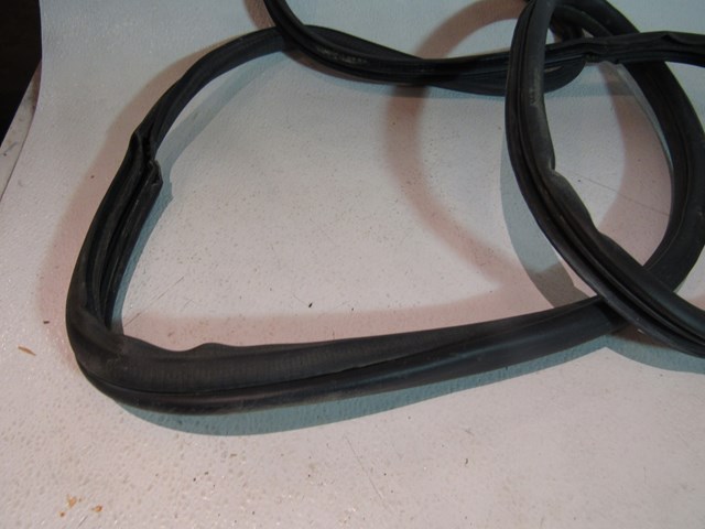 2003-2008 Nissan 350Z RH Passenger Door Seal  R15435