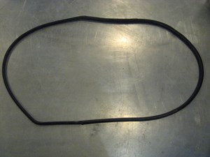 04 Nissan 350Z LH Driver Door Seal  R15598