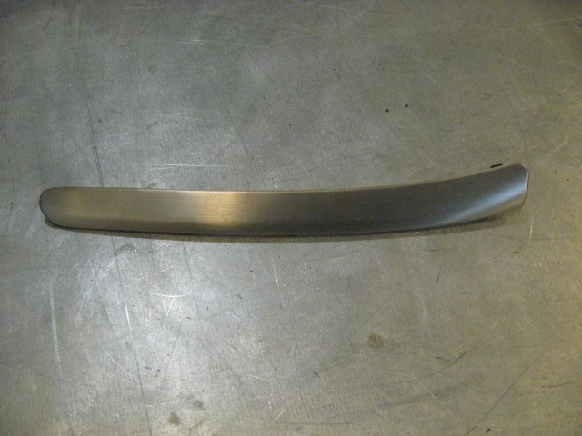 06 Infiniti G35 RH Door Grip Finisher Cap 80944 AC700 R16659