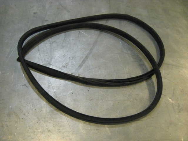 06 Infiniti G35 Front RH Door Seal On Car  R16694