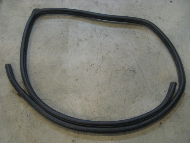 09 Mazda 3 Rear LH Driver Door Seal  R9134