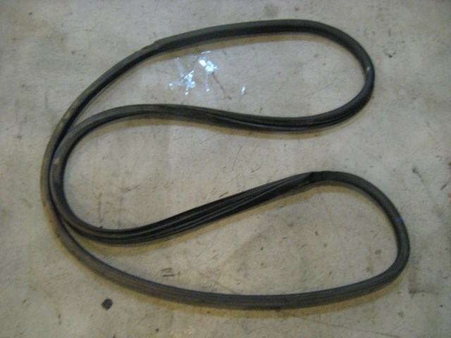 03 Nissan 350Z RH Passenger Door Seal  R9681