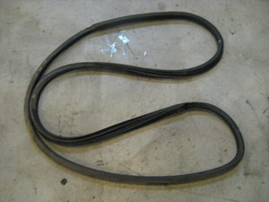 03 Nissan 350Z RH Passenger Door Seal  R9681