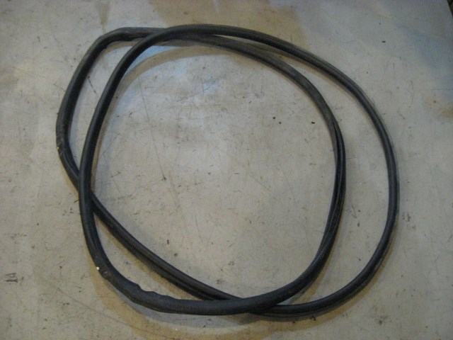 05 Infiniti G35 RH Passenger Door Seal Black  R10123