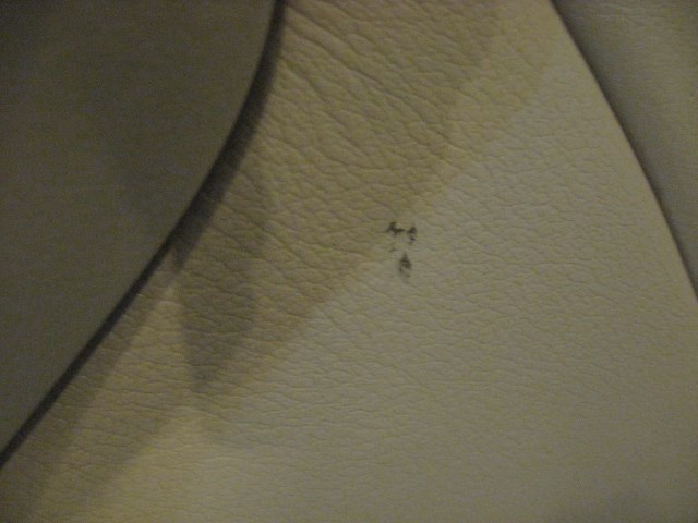 00 BMW M5 Rear LH Driver Door Panel  R19902