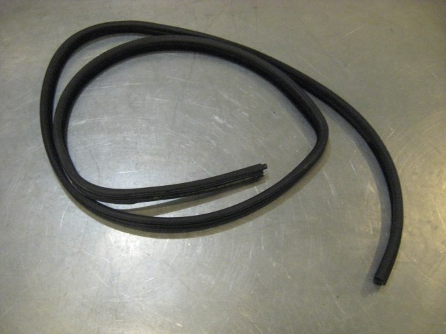 00 BMW M5 Rear LH Driver Door Seal On Car  R19942