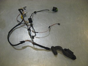 00 BMW M5 Rear LH Door Wiring Harness  R19945