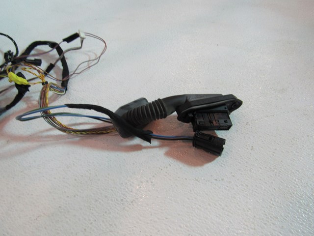 00 BMW M5 Rear RH Door Wiring Harness  R19960 6 901 995