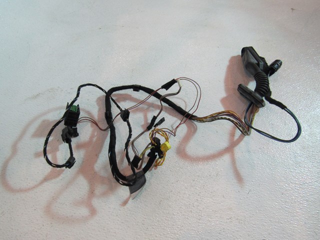 00 BMW M5 Rear RH Door Wiring Harness  R19960 6 901 995