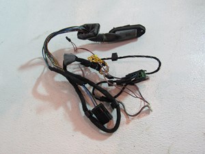 00 BMW M5 Rear RH Door Wiring Harness  R19960 6 901 995