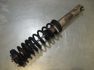 00 BMW M5 Rear Strut Spring Assy  R20018