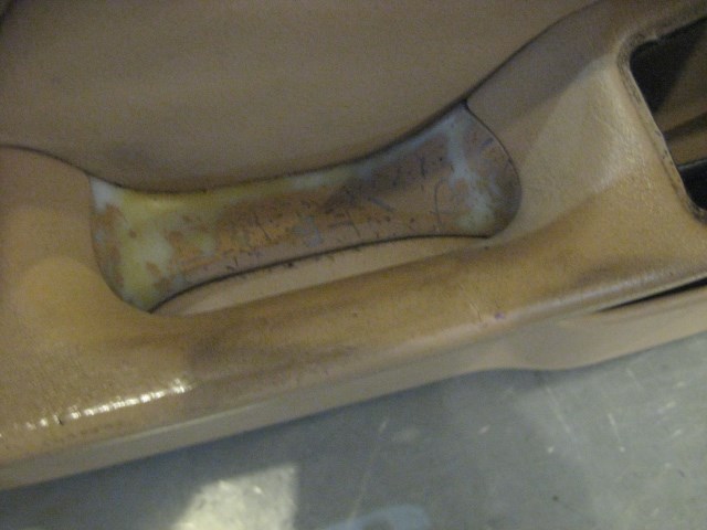 00 BMW M5 Front Driver Door Panel Assy  R20033