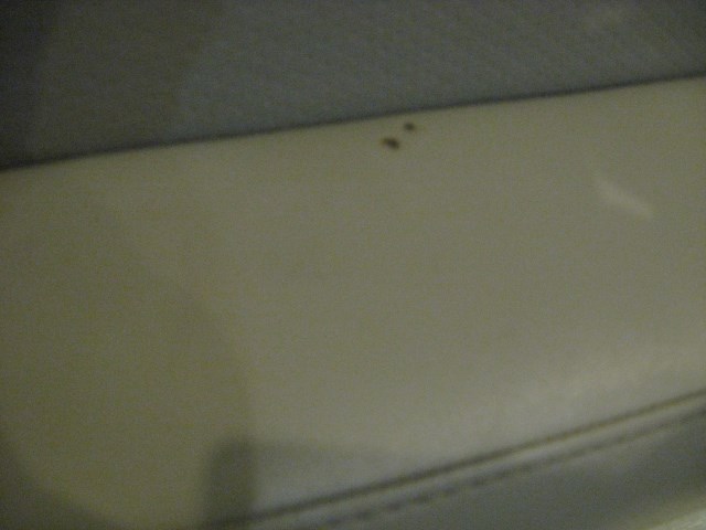 06 Infiniti G35 Sedan Front RH Door Panel  R20151