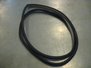 06 Infiniti G35 Rear RH Door Seal On Frame  R20177