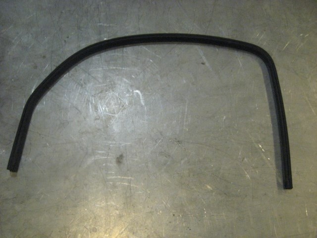 07  EQUINOX Rear RH Door Seal  R17063