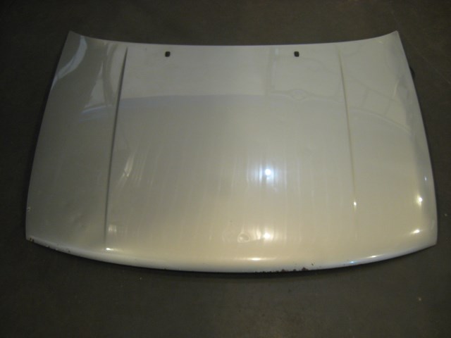 96 Volkswagen JETTA Hood Assembly  R11150