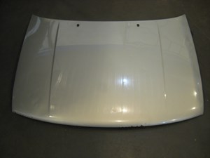 96 Volkswagen JETTA Hood Assembly  R11150