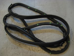 03 Infiniti G35 Front RH Door Seal On Door  R11579