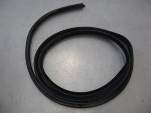 2000 BMW 528i Front RH Door Seal
