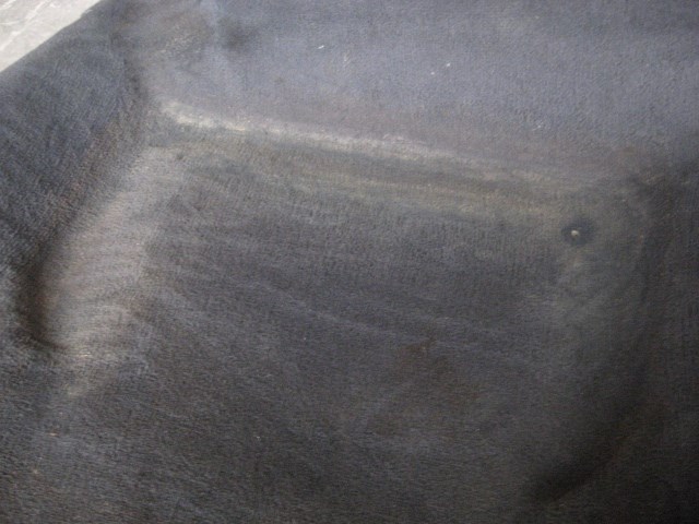 2000 BMW 528i Rear Carpet Black