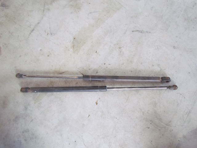 2001 Audi A4 Avant Wagon Hatch Strut Set