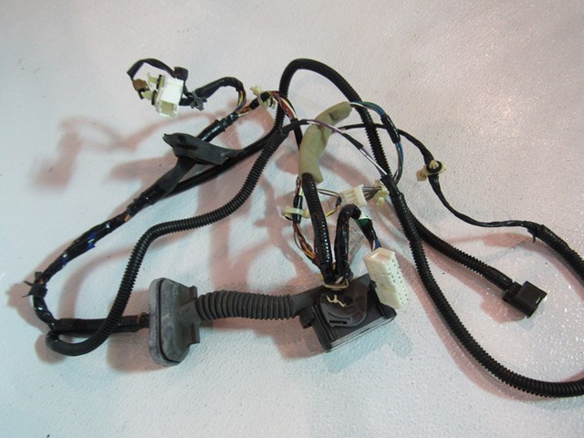 05 06 Infiniti G35 Sedan Front RH Door Wiring Harness 24124 AC702