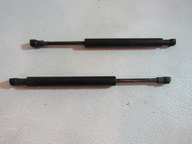 2005 2006 Infiniti G35 Sedan Trunk Strut Set of 2 - 84130 AL521