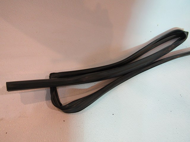 2005 Infiniti G35X Rear RH Window Seal