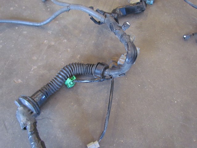 2005 Infiniti G35x Main Engine Wire Harness
