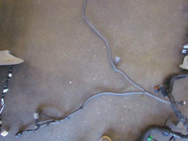 2005 Infiniti G35x Main Engine Wire Harness
