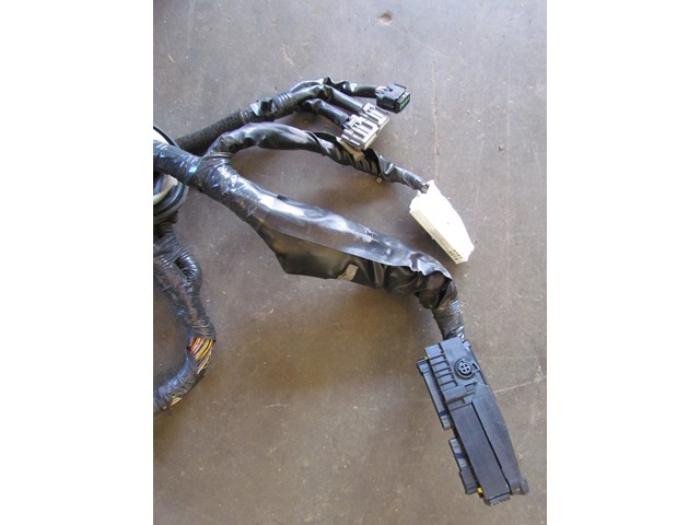 2005 Infiniti G35x Main Engine Wire Harness