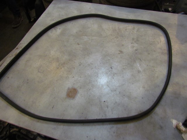 2006 Infiniti G35x Front RH Passenger Door Seal
