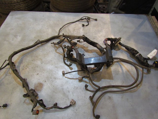 2006 Infiniti G35x Main Engine Wire Harness