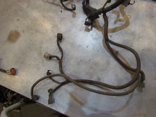 2006 Infiniti G35x Main Engine Wire Harness