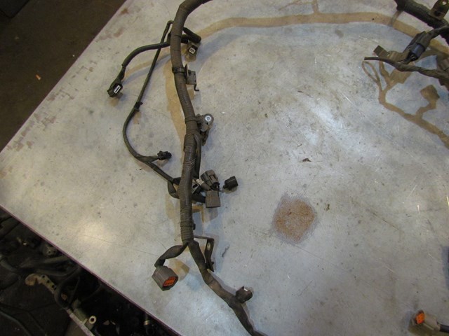 2006 Infiniti G35x Main Engine Wire Harness