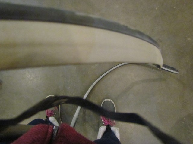 2007 Infiniti G35x Sedan RH Passenger Rear Door Seal--Stone